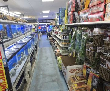 Greentree Pet Center