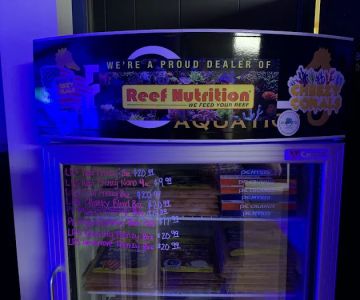 Cheezy Corals & Service LLC
