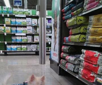 Petco
