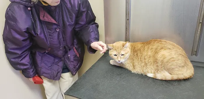 Clinton Trail Animal Hospital 7