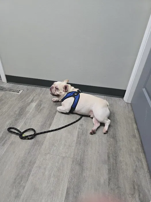 Clinton Trail Animal Hospital 6