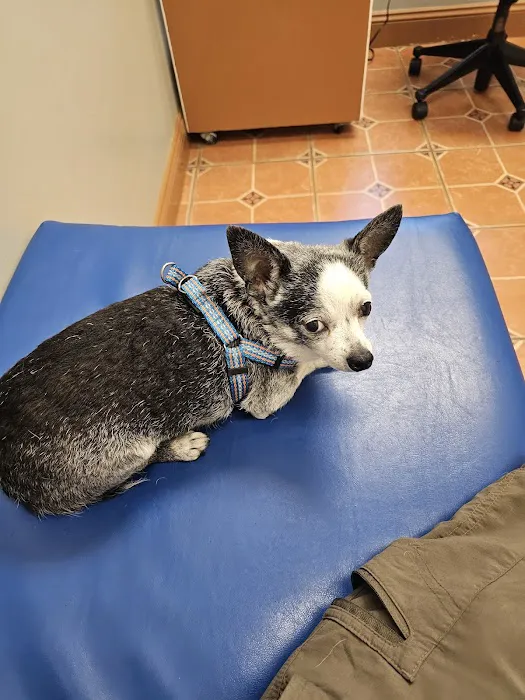 Great Lakes Veterinary Clinic 3