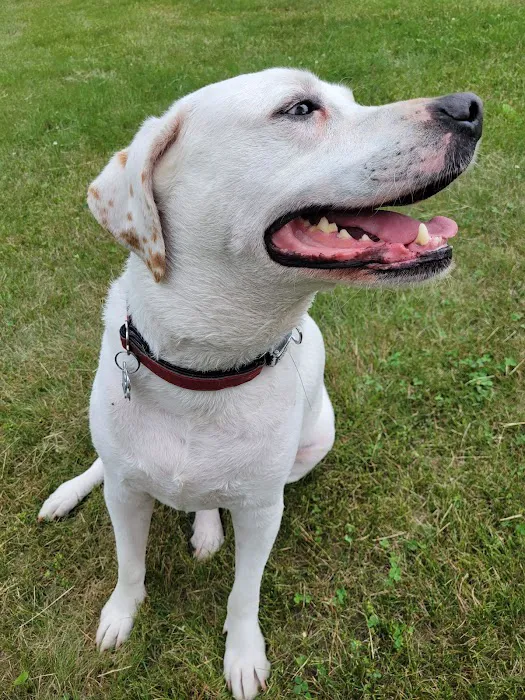 Great Lakes Veterinary Clinic 4
