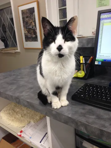 Lakeside Animal Hospital 8