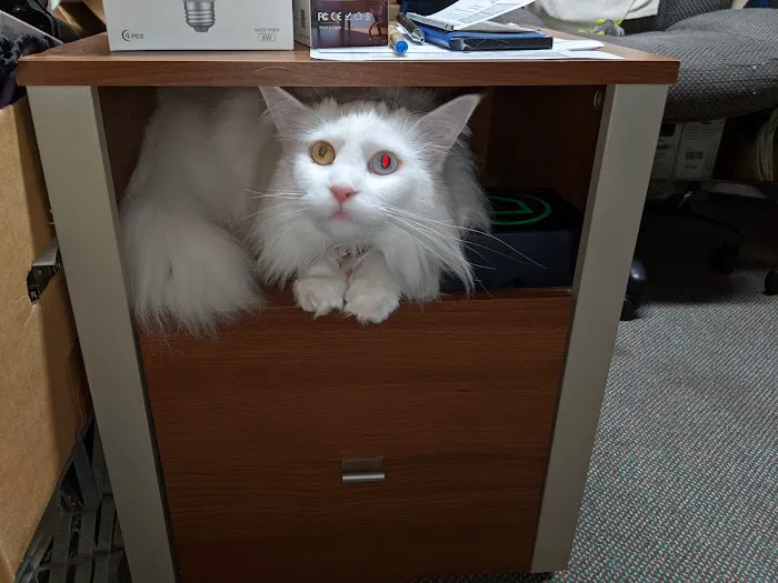 Lakeside Animal Hospital 9