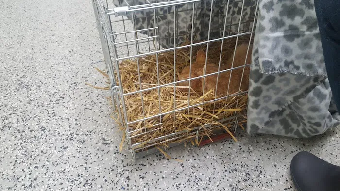 Lakeside Animal Hospital 7