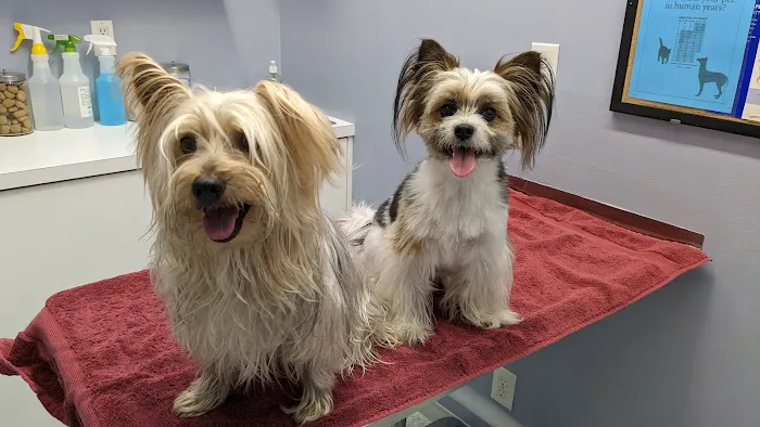 Lakeside Animal Hospital 1