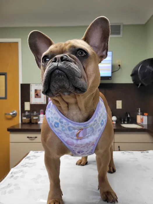 Union Lake Veterinary Hospital 1