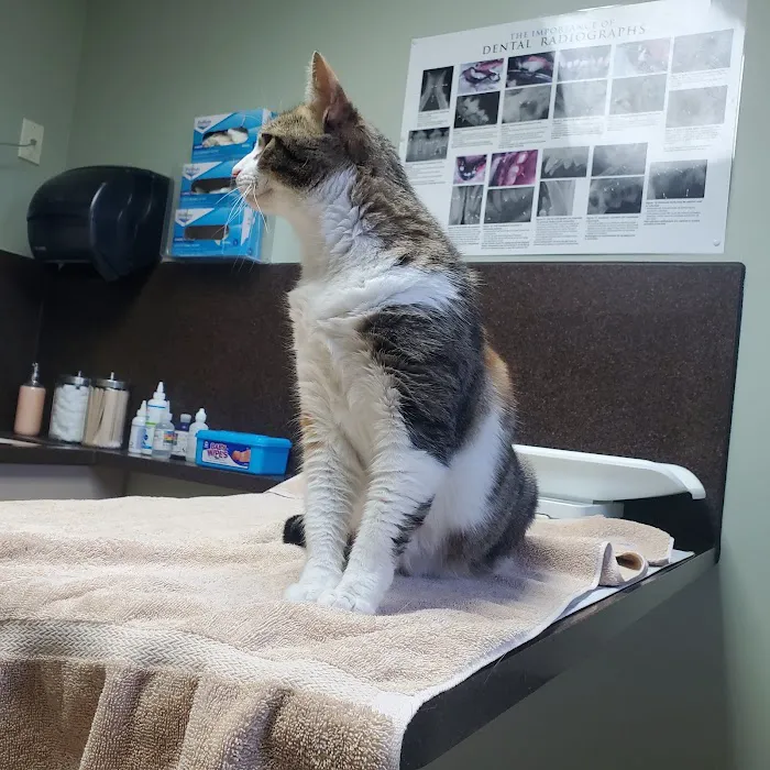 Union Lake Veterinary Hospital 4