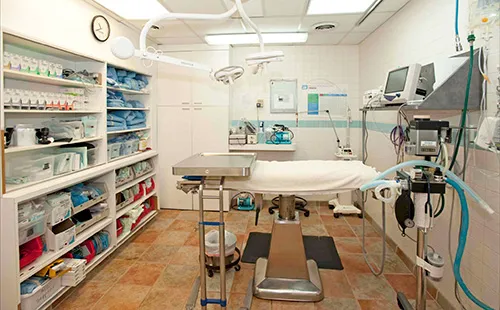 Union Lake Veterinary Hospital 8