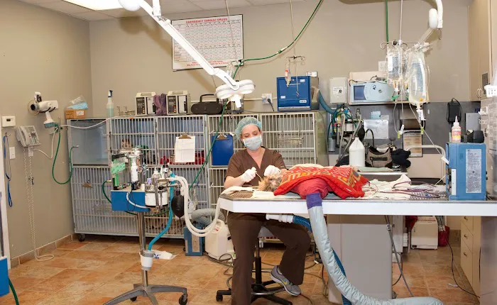 Union Lake Veterinary Hospital 10