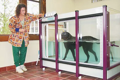 Union Lake Veterinary Hospital 7