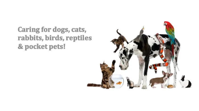 Union Lake Veterinary Hospital 5
