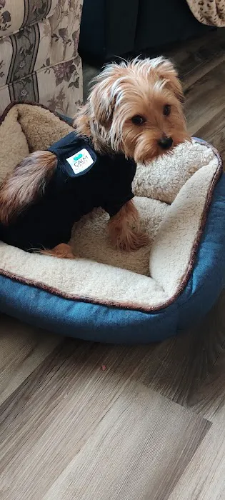 4 Paws Urgent Care 3