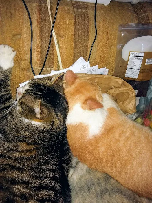 Commerce Animal Hospital 4