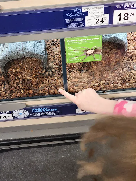 Petco 9