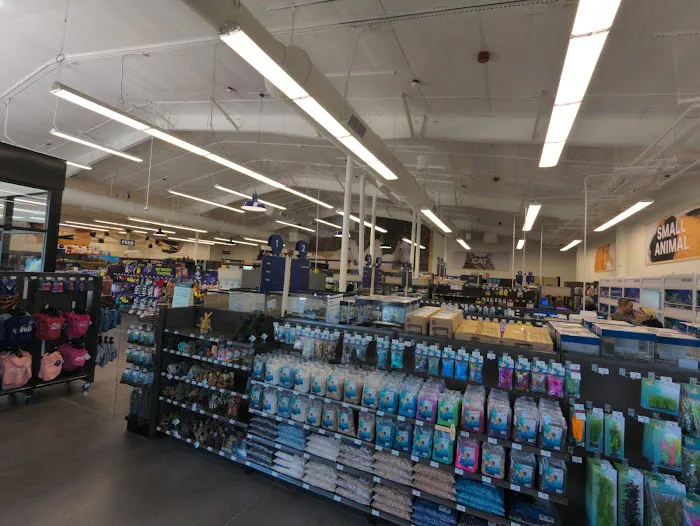 Petco 6