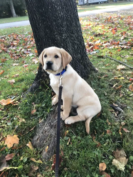 Orchard Lake Animal Hospital 7