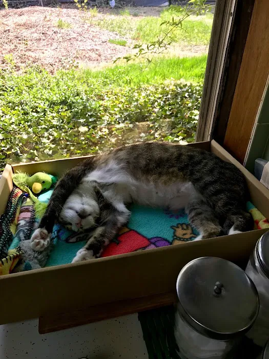 Orchard Lake Animal Hospital 9