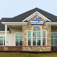 Orchard Lake Animal Hospital ico