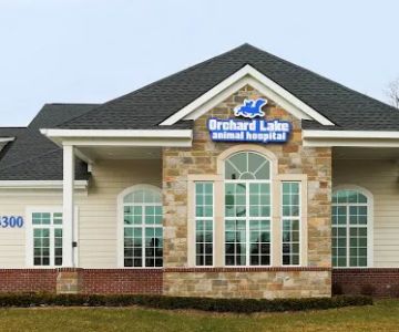 Orchard Lake Animal Hospital