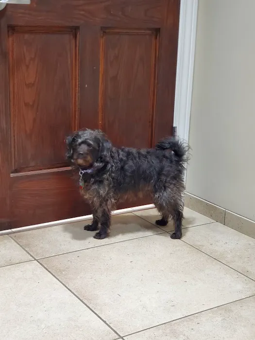 Towne & Country Animal Hospital Hartland 4