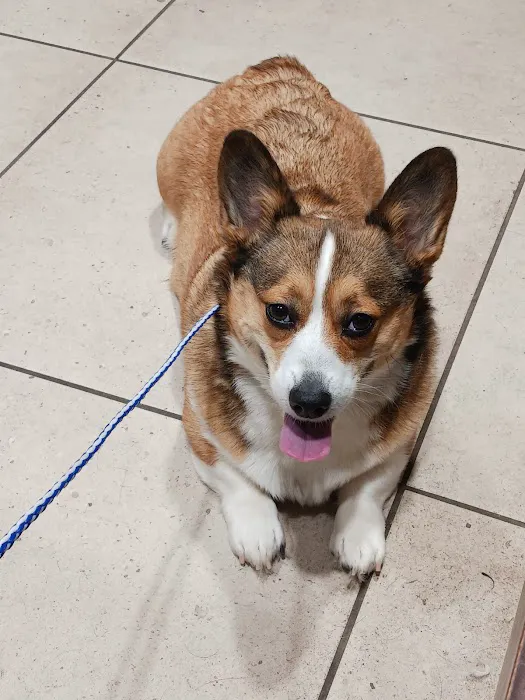 Towne & Country Animal Hospital Hartland 2