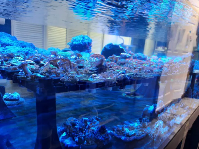 Bourbon Country Corals, LLC 2