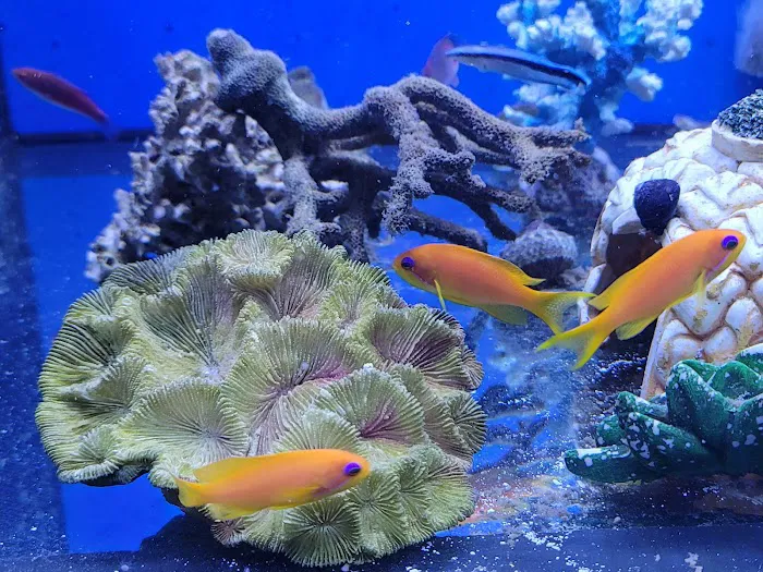 Bourbon Country Corals, LLC 8