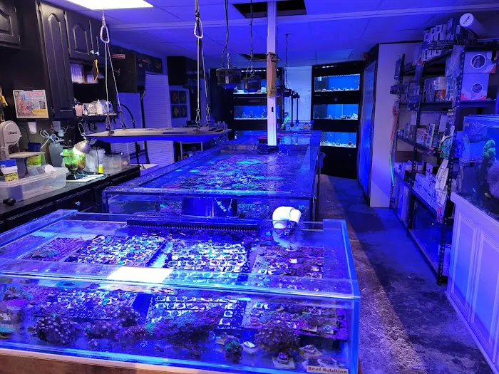 Bourbon Country Corals, LLC 3