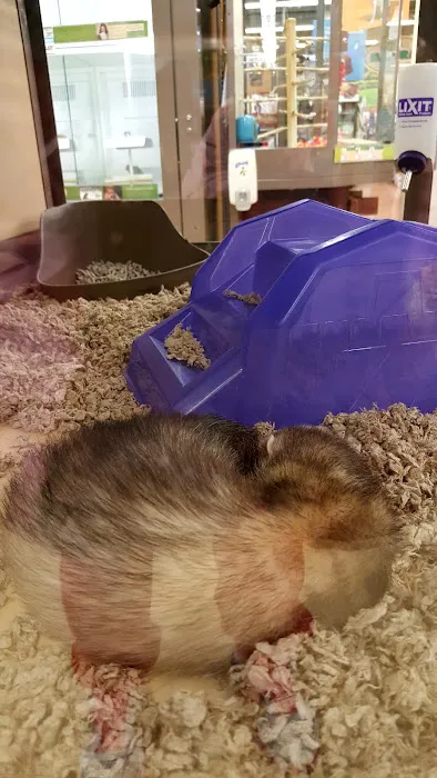 Petco 12