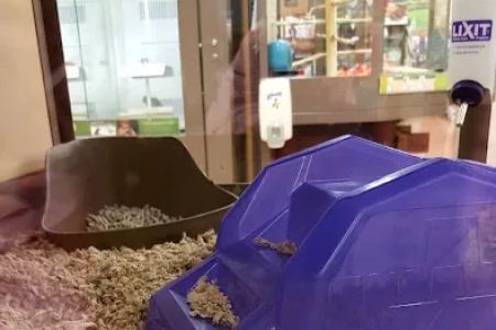 Petco
