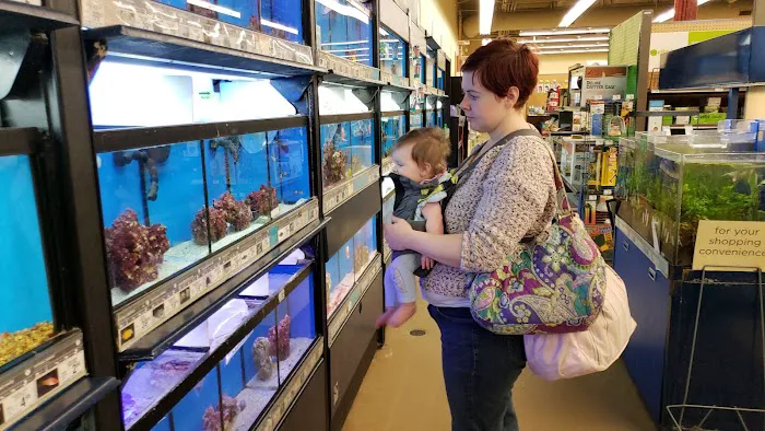 Petco 12