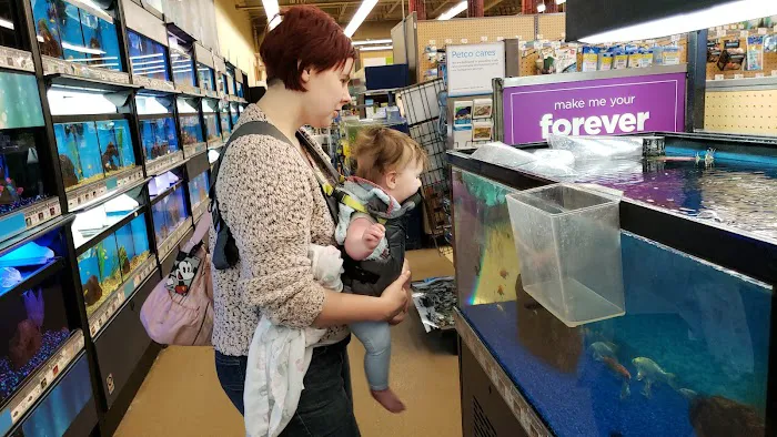 Petco 12