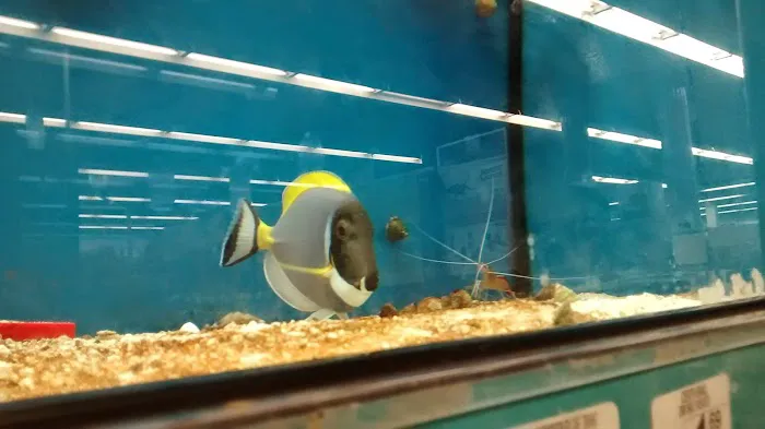 Petco 12
