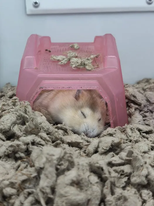Petco 12