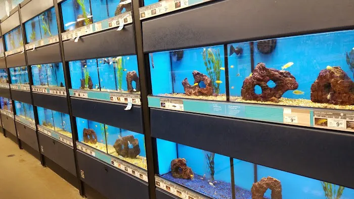 Petco 12