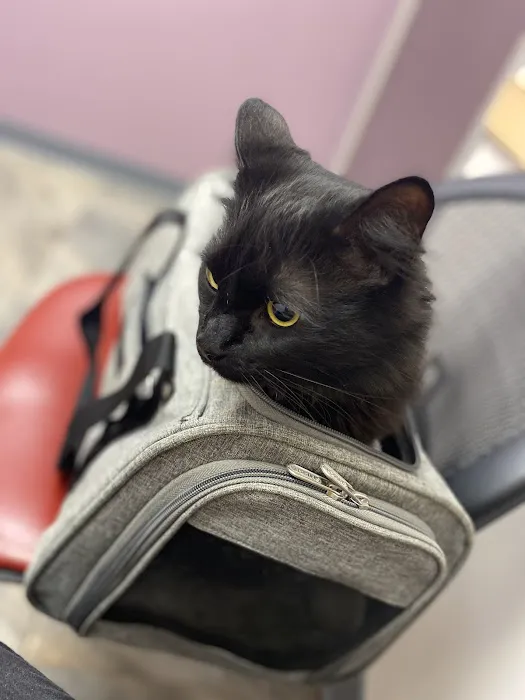 Four Seasons Veterinary Services 7