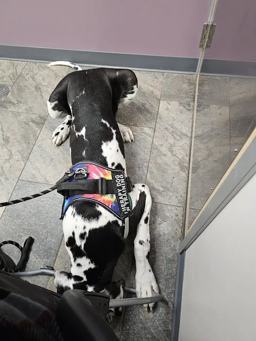 Four Seasons Veterinary Services 1