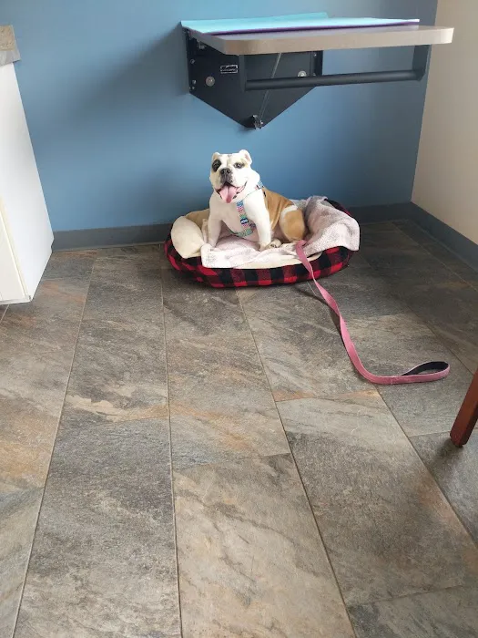 Four Seasons Veterinary Services 4