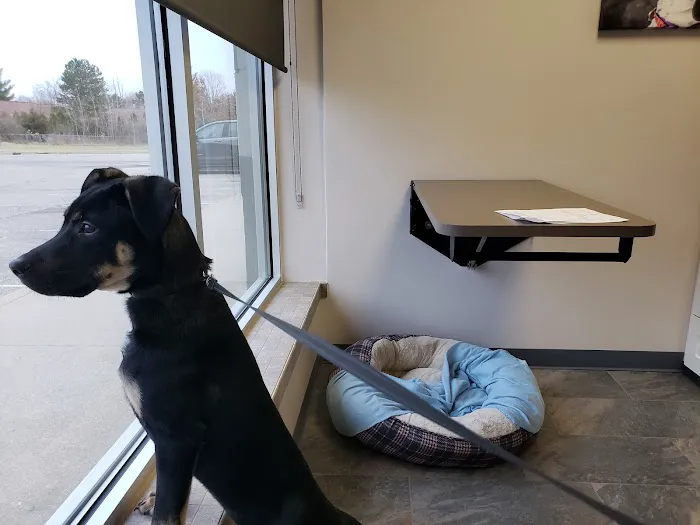 Four Seasons Veterinary Services 5