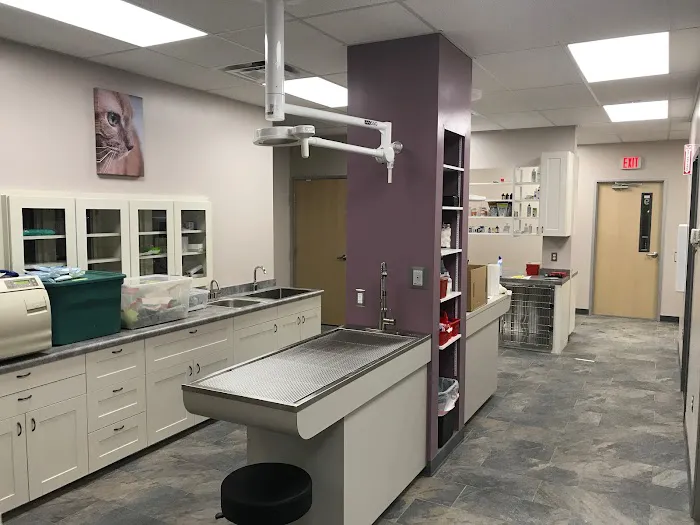 Four Seasons Veterinary Services 10