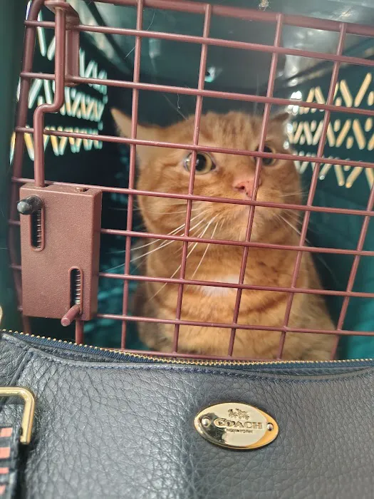 Woodland Animal Hospital 7