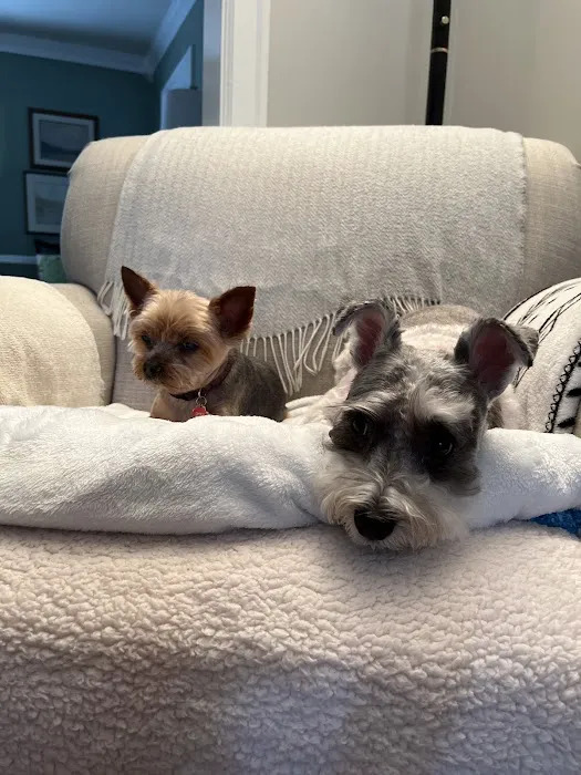 Petco 4