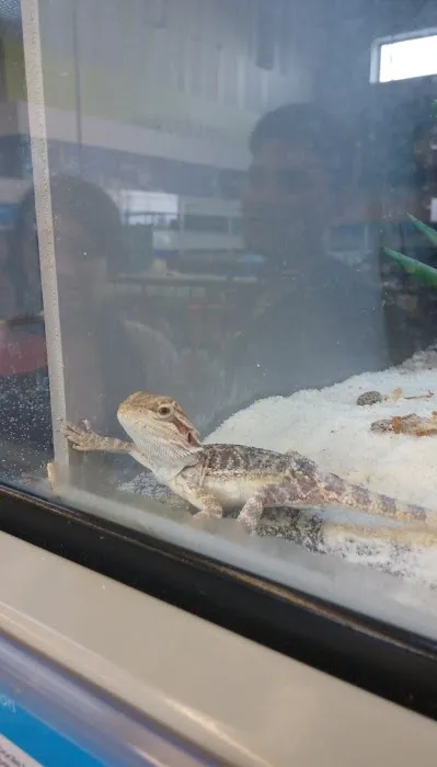 Petco 10