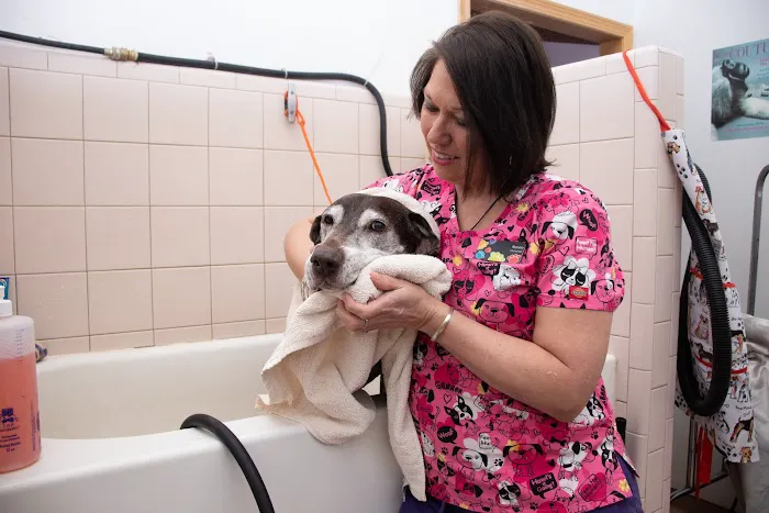 Roadside Veterinary Clinic 2