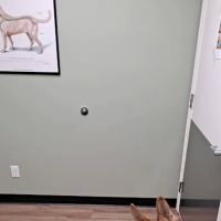 Roadside Veterinary Clinic ico