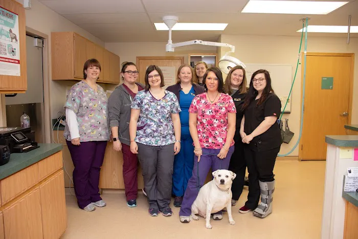 Roadside Veterinary Clinic 9