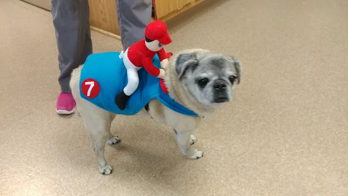 Highland Veterinary Hospital 6
