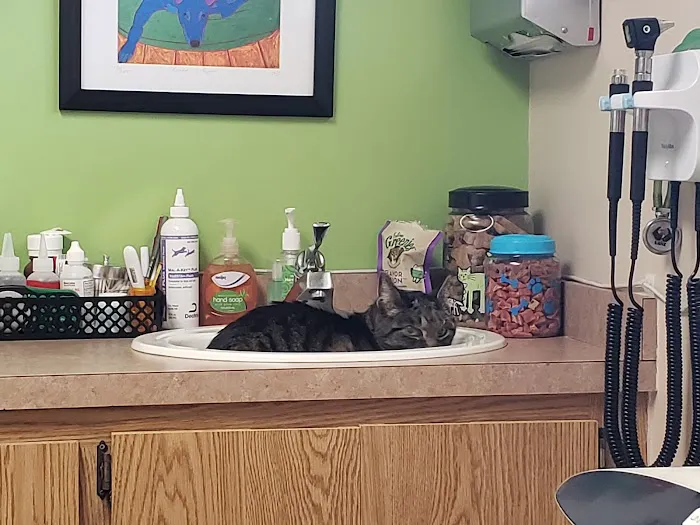 Highland Veterinary Hospital 7